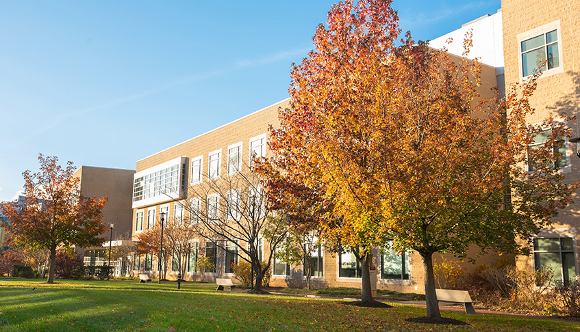 Duncan Hall from the Quad