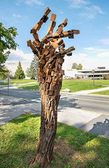 Created by artist Anthony Heinz May, Futural Eyesoulation was constructed from a locust tree and given a new life. Working in natural materials, May aims to explore relationships between nature, humans, and technology.