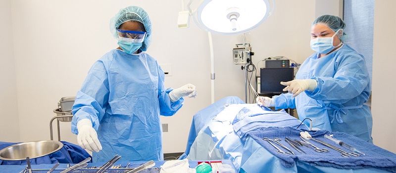 Surgical Technician stock image