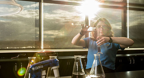 student performing undergraduate research