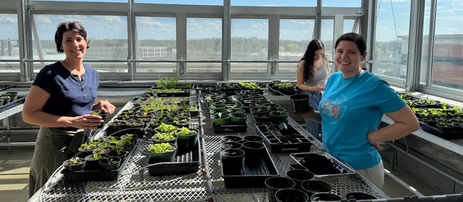 Faculty and students working together in a bright greenhouse, tending to seedlings in small pots on metal tables. The group smiles while engaged in hands-on sustainability work.