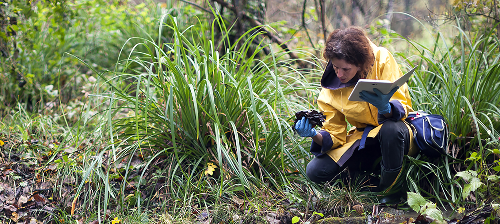 a student in the master watershed steward program