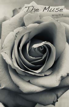 The Muse - Spring 2019