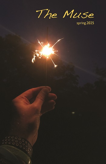 Muse Cover 2025. - - a hand holding a sparkler