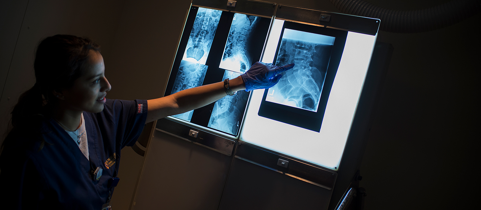 A student reviewing radiographs in a darkened room