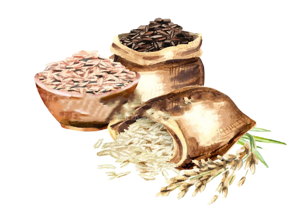 BrownRice