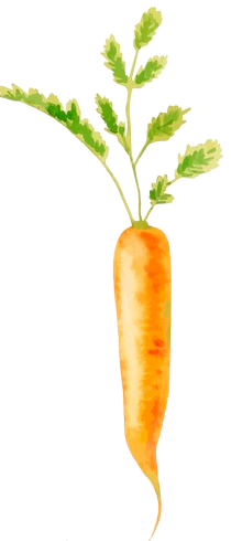 carrot